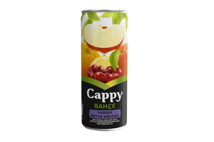 Cappy meyve suyu karışık 250 ml